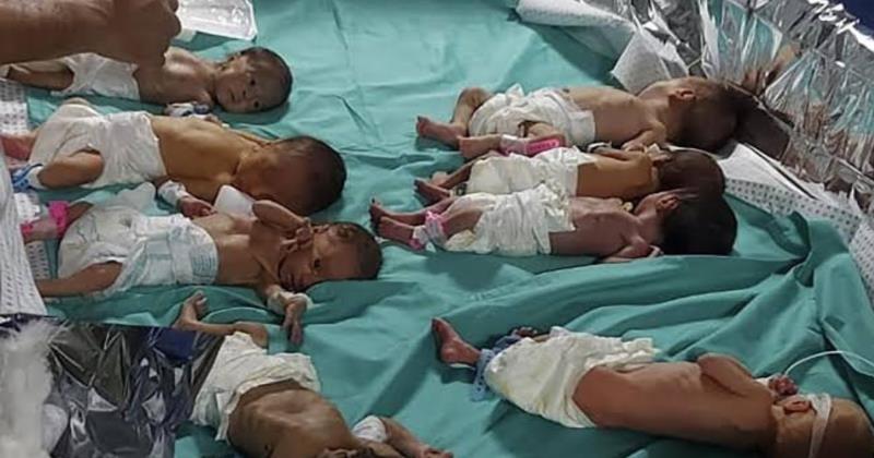 Crisis Deepens as Premature Babies Evacuated Amidst Gaza Hospital Controversy