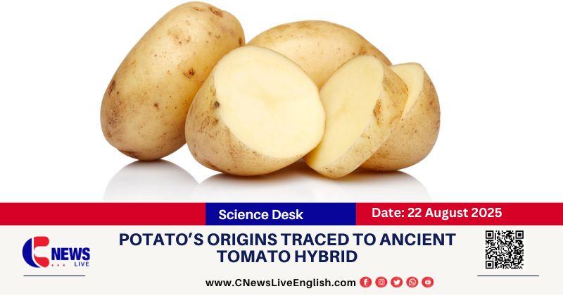 From Tomato to Tuber: Scientists Uncover Surprising Evolutionary Roots of the Potato