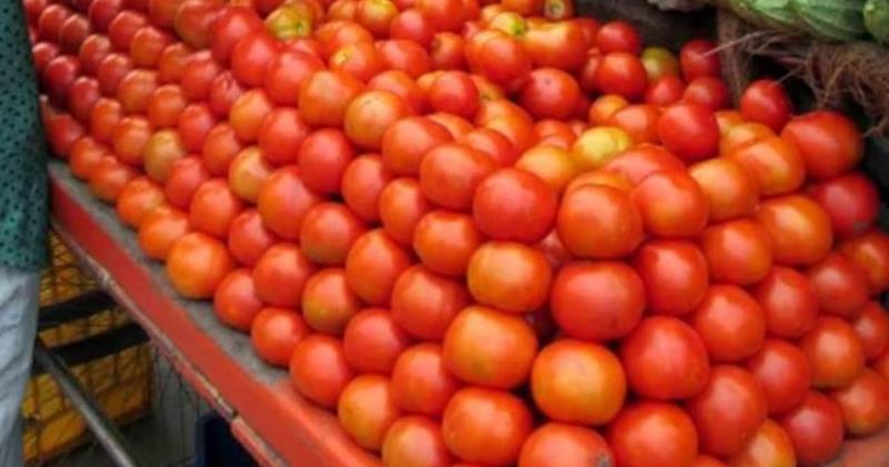 Moscow's Move: Indian Tomato Crisis may be mitigated