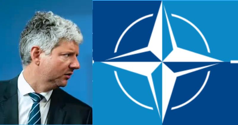 NATO official raises possibility of territorial exchange for Ukrainian membership; Regrets 'Peace Proposal' Statement