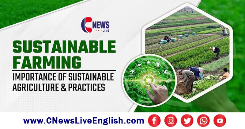 Sustainable Agriculture: Striking the Balance Between Growth and Green