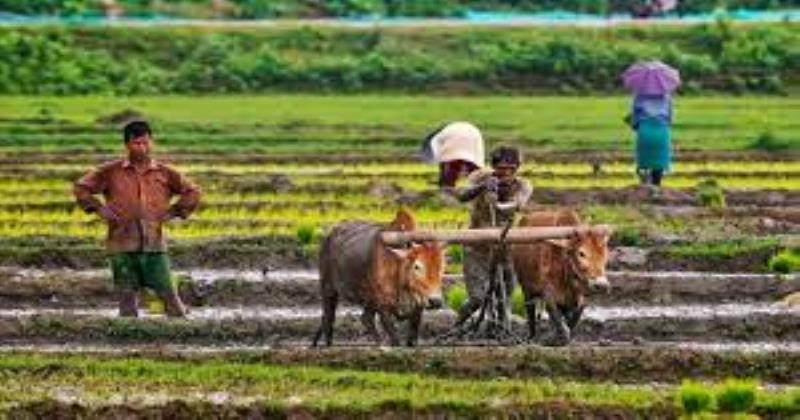 The Pillars of the Earth: Honoring the Indomitable Spirit of the Farmer