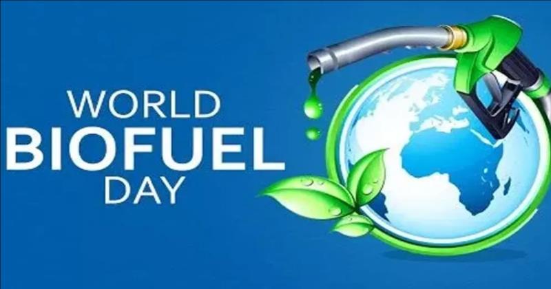 World Biofuel Day 2025: Driving the Future with Sustainable Energy